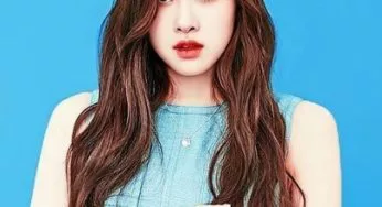 BLACKPINKロゼの出身地やプロフィールをご紹介！かっこいいのは細いウエストのせい？画像で検証！